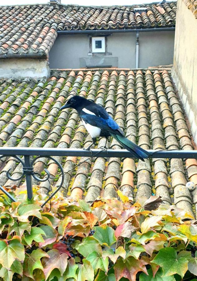 Maison de maître à BRAM # Jacuzzi Esterno foto